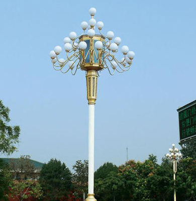 杂多中华灯 杂多中华灯